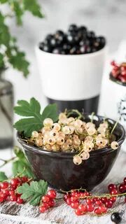 Белая смородина рецепты