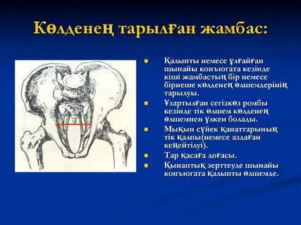 Жыныс мүшесінің басында бөртпе бар