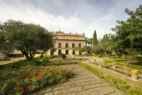 Old garden