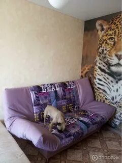 Диваны волочке