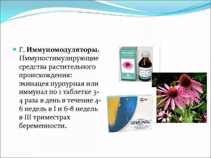 Средства природного происхождения. Препараты растительного происхождения. Растительные иммуномодуляторы. Иммуномодуляторы растительного происхождения препараты. Иммуностимулирующее средство растительного происхождения.