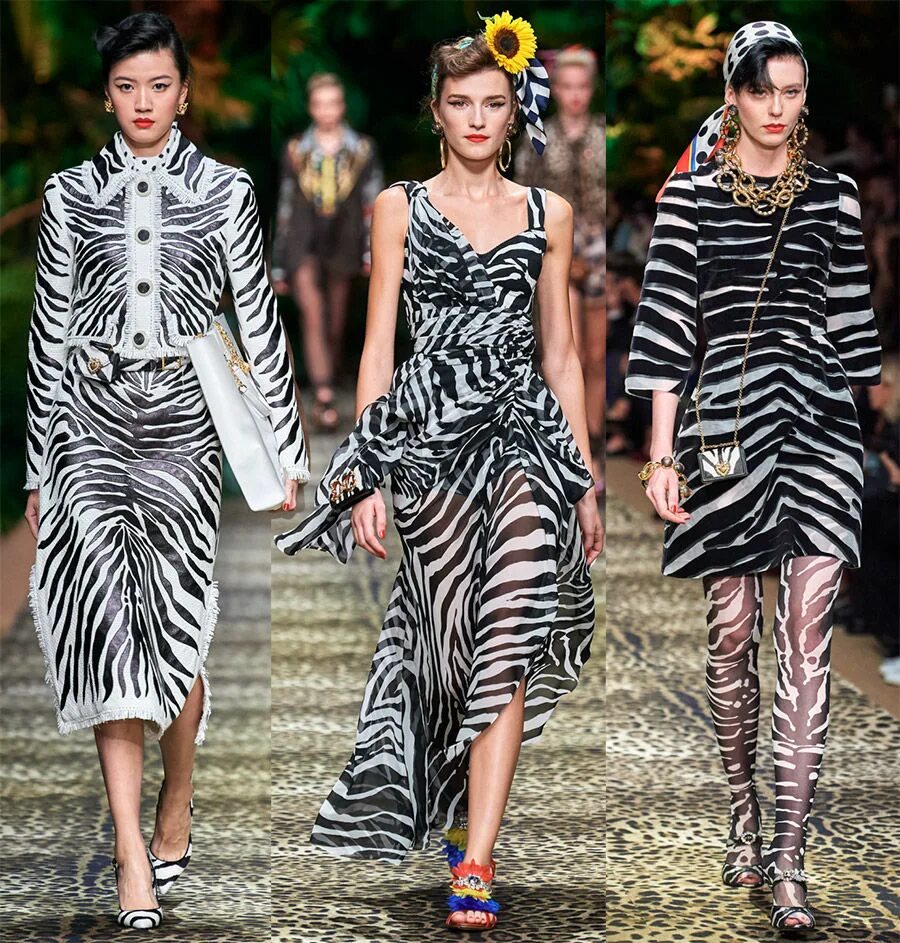 Модный принт зебра. Принты дольче габбана 2025. dolce gabbana 2025-2025. принт дольче габбана 2025.
