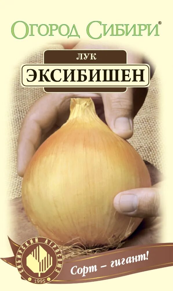 Лук сорт эксибишен отзывы. 150-300г. Лук репчатый, эксибишен f1. Лук эксибишен семена. Лук эксибишен голландия.