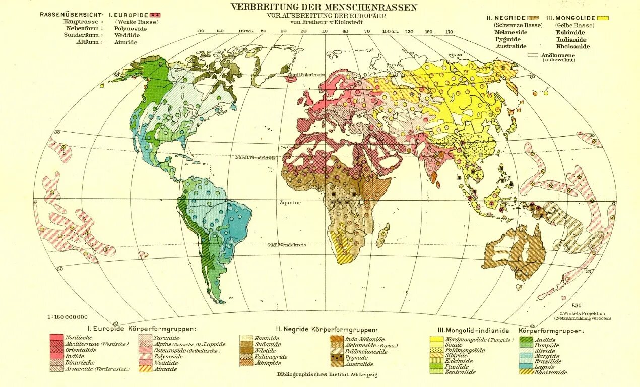 Ареалы распространения человеческих рас. Распространение человеческих рас на земле карта.