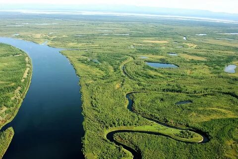 Устье реки 7 букв