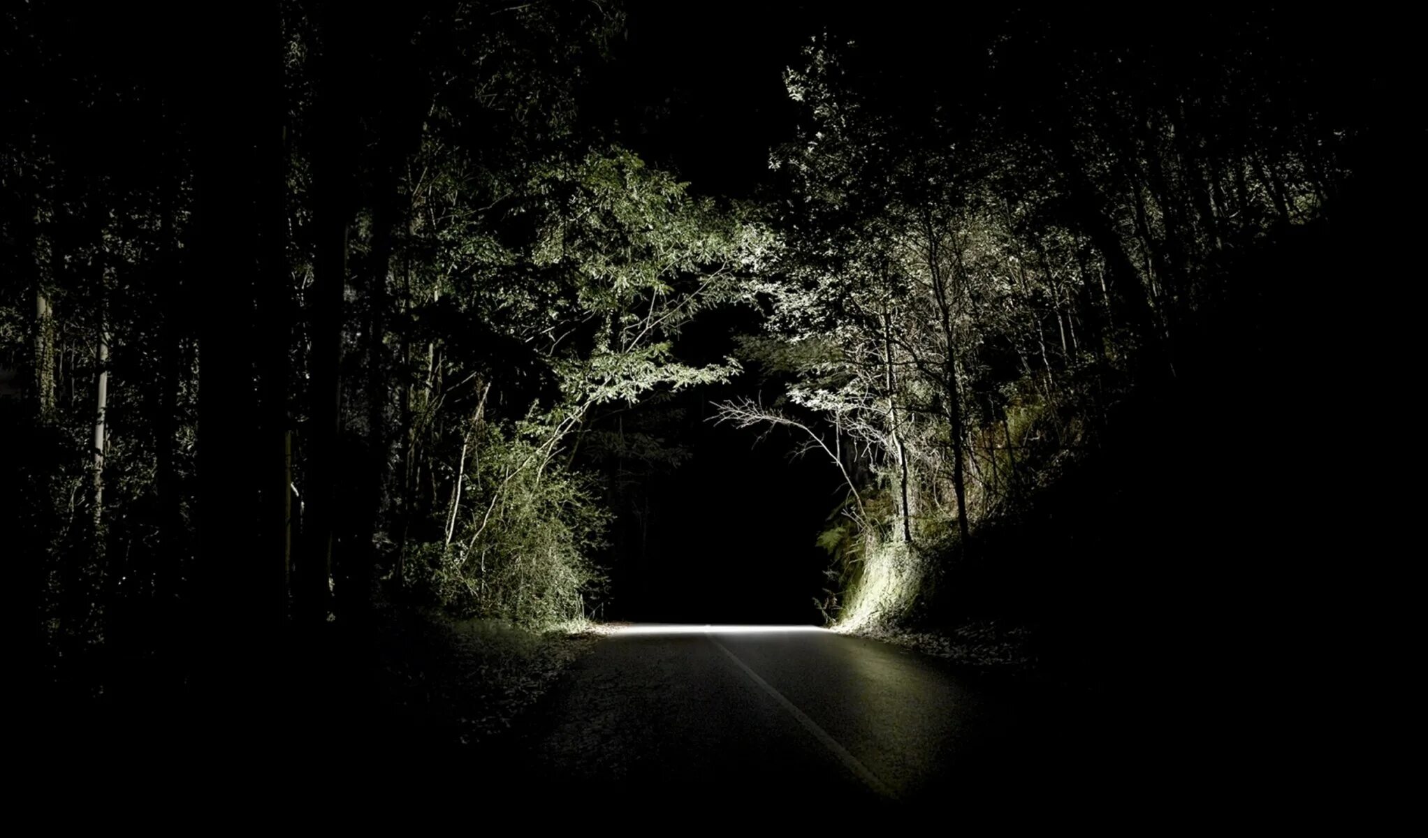 Обои плохого качества. Темная дорога. Дорога в лесу ночью. Ночной лес. Лесная дорога ночью.