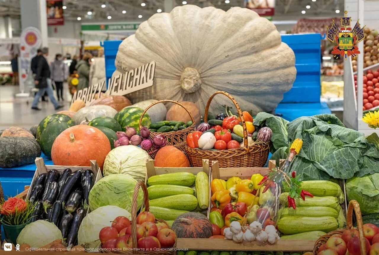 Кубанская ярмарка краснодаре. Кубанская ярмарка краснодаре. Кубанская ярмарка экспограда. Кубанская ярмарка 2022. Ярмарка на кубани.