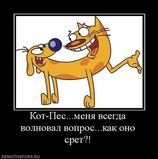 Котопес песня
