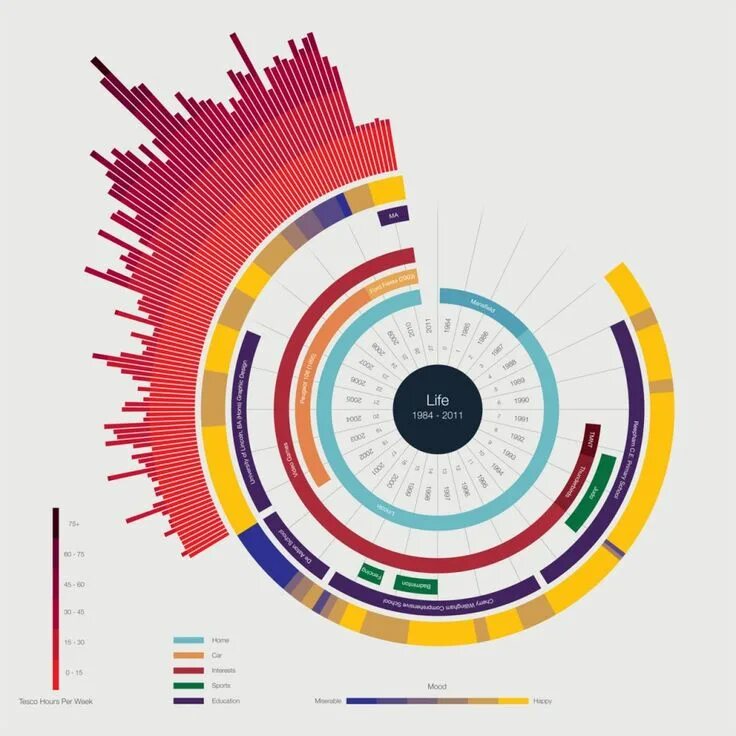Data designer