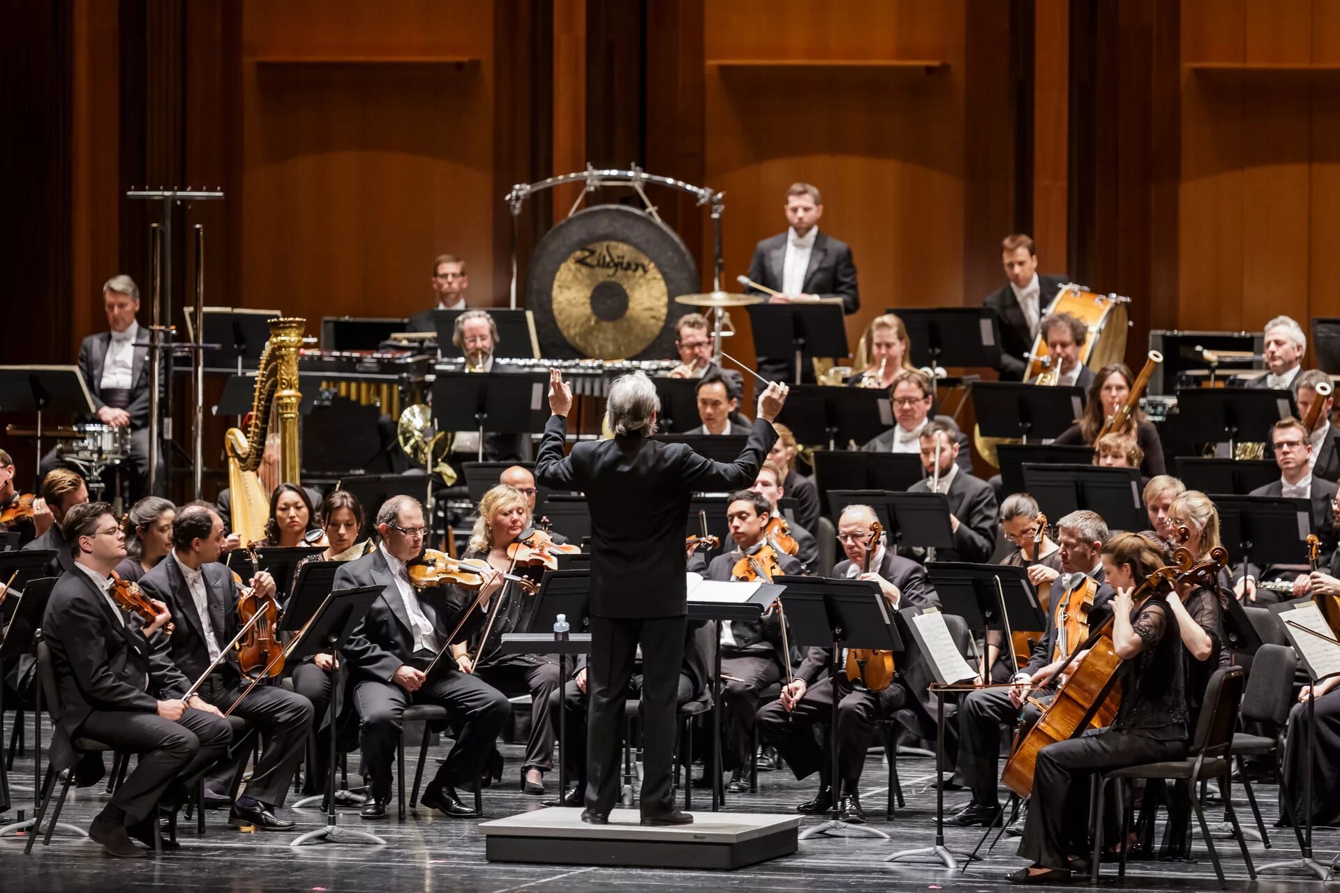 Orchestra. Большой симфонический оркестр им Чайковского. Симфонический оркестр Бетховена. Что такое симфония и симфонический оркестр. Симфонический оркестр под управлением Владимира Федосеева арфа.