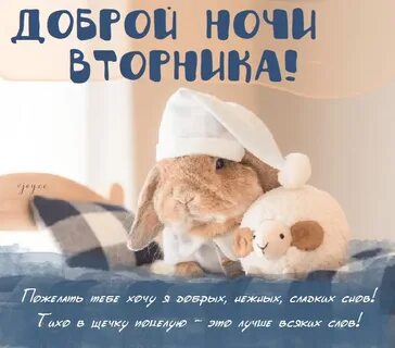 Доброй ночи вторника