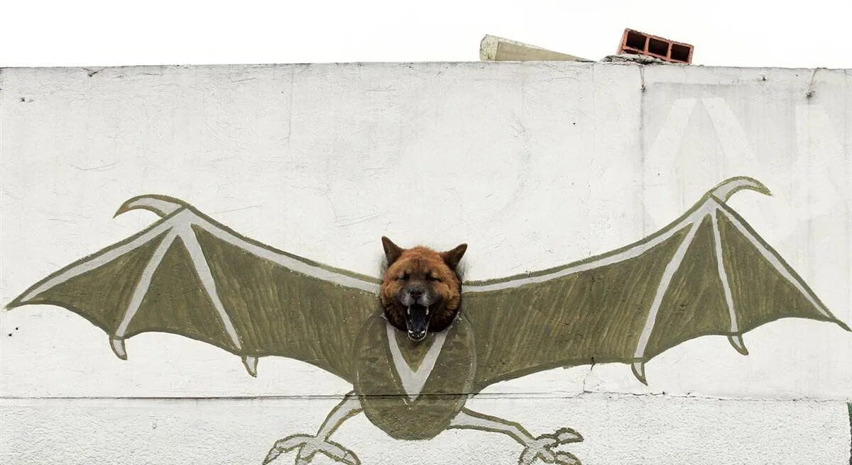 Летучие собаки иллюстрации. Летающая собака с крыльями. Летучая собака рисунок. Летающая собака рисунок.