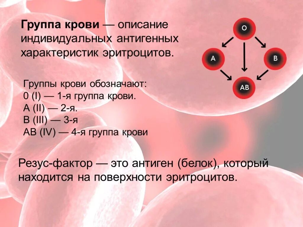 Резус фактор б