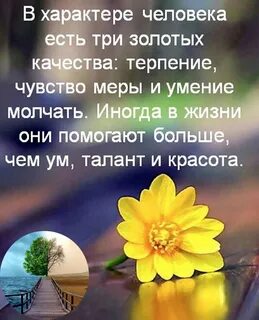 Чувство меры в любви