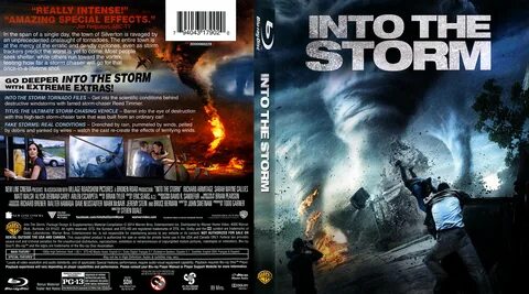 Into the storm