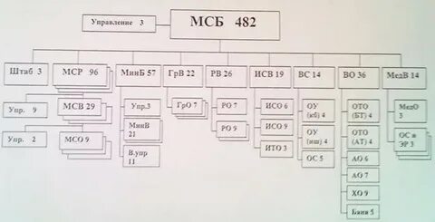 Действия мотострелкового батальона