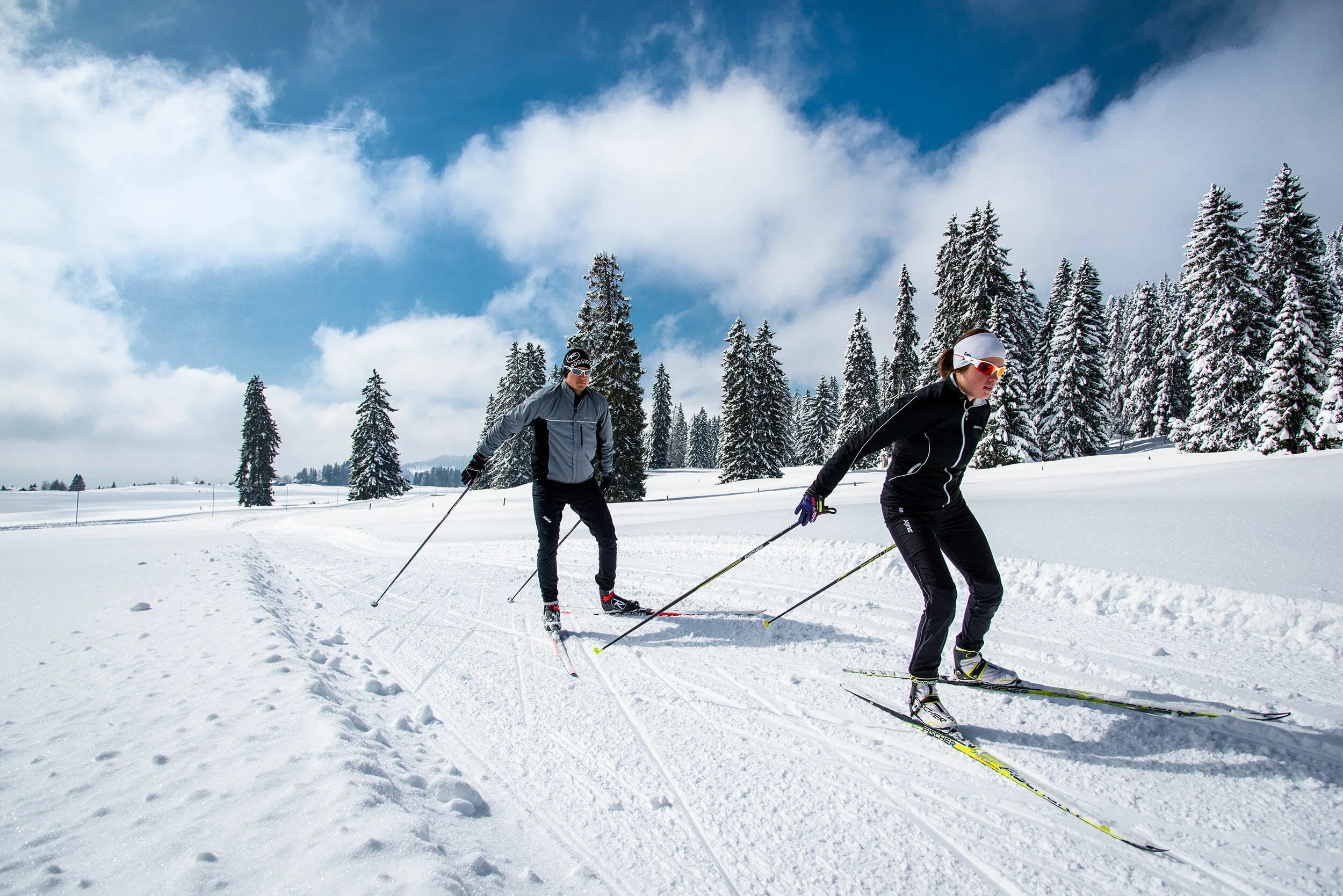 Cross country ski. Катание на лыжах. Беговые лыжи спорт. Катания на беговых лыжах. Катается на лыжах беговых.