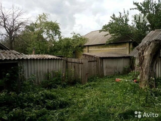 Деревня тим постояновка озеро. Погода постояновка тимского курской на 10 дней. Глава поселка тим. Курская область фапы. Смотрова тим курск.