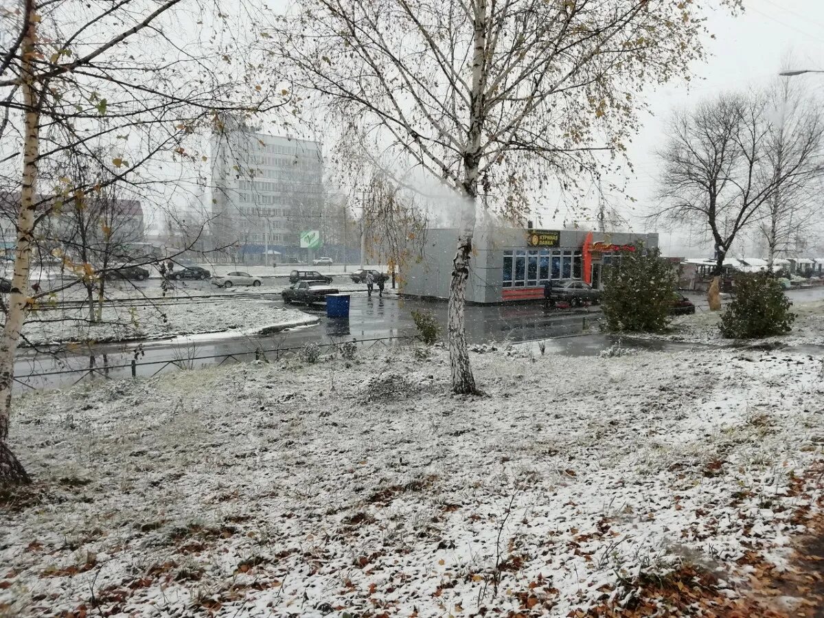 Климат Прокопьевска. Прокопьевск дождь. Погода в Прокопьевске.