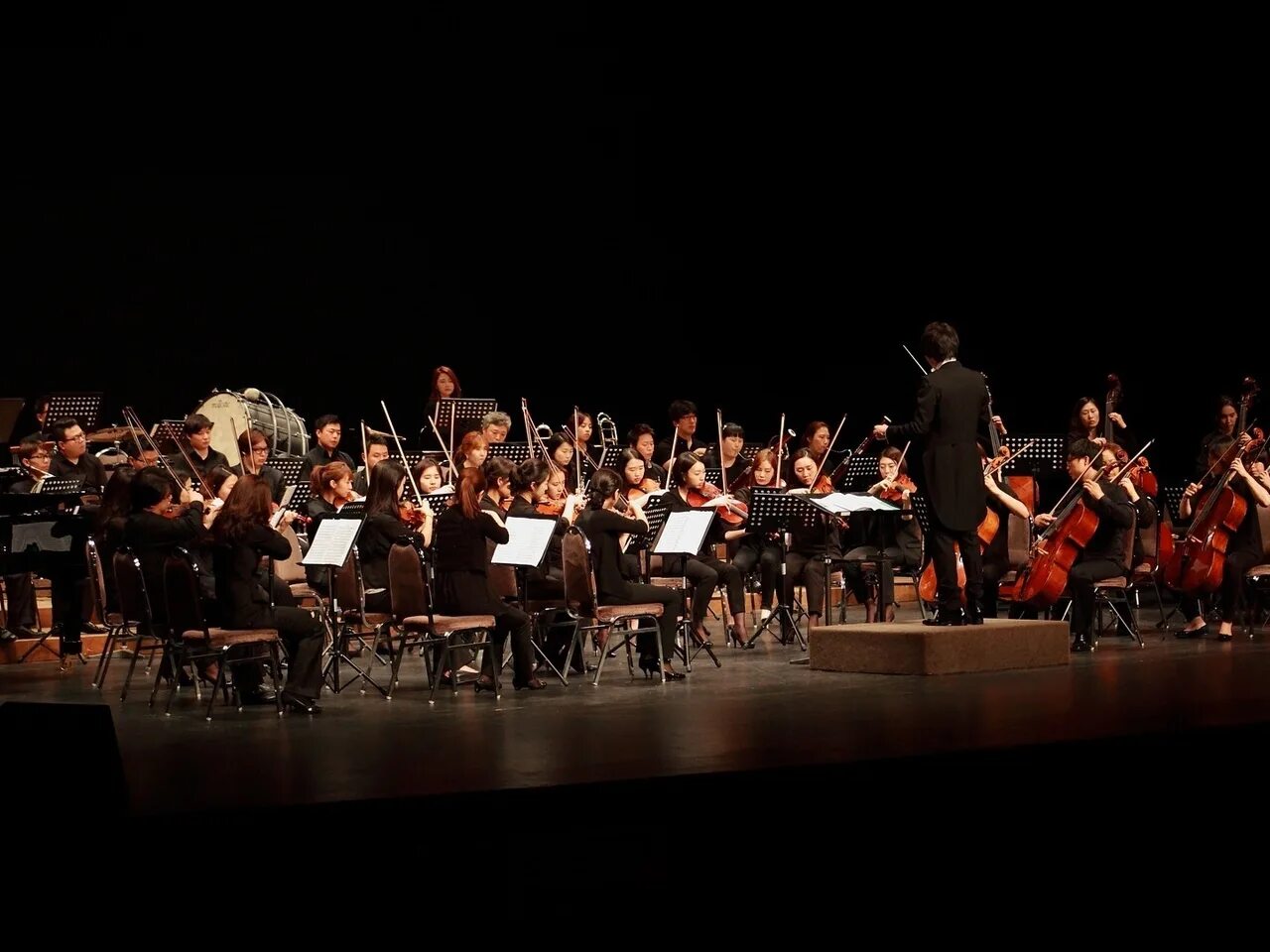 Orchestra. Оркестр. Симфонический оркестр на белом фоне. Оркестр фото. Оркестр со спины.