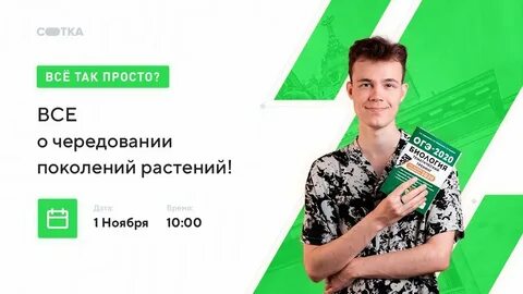 Школа сотка огэ