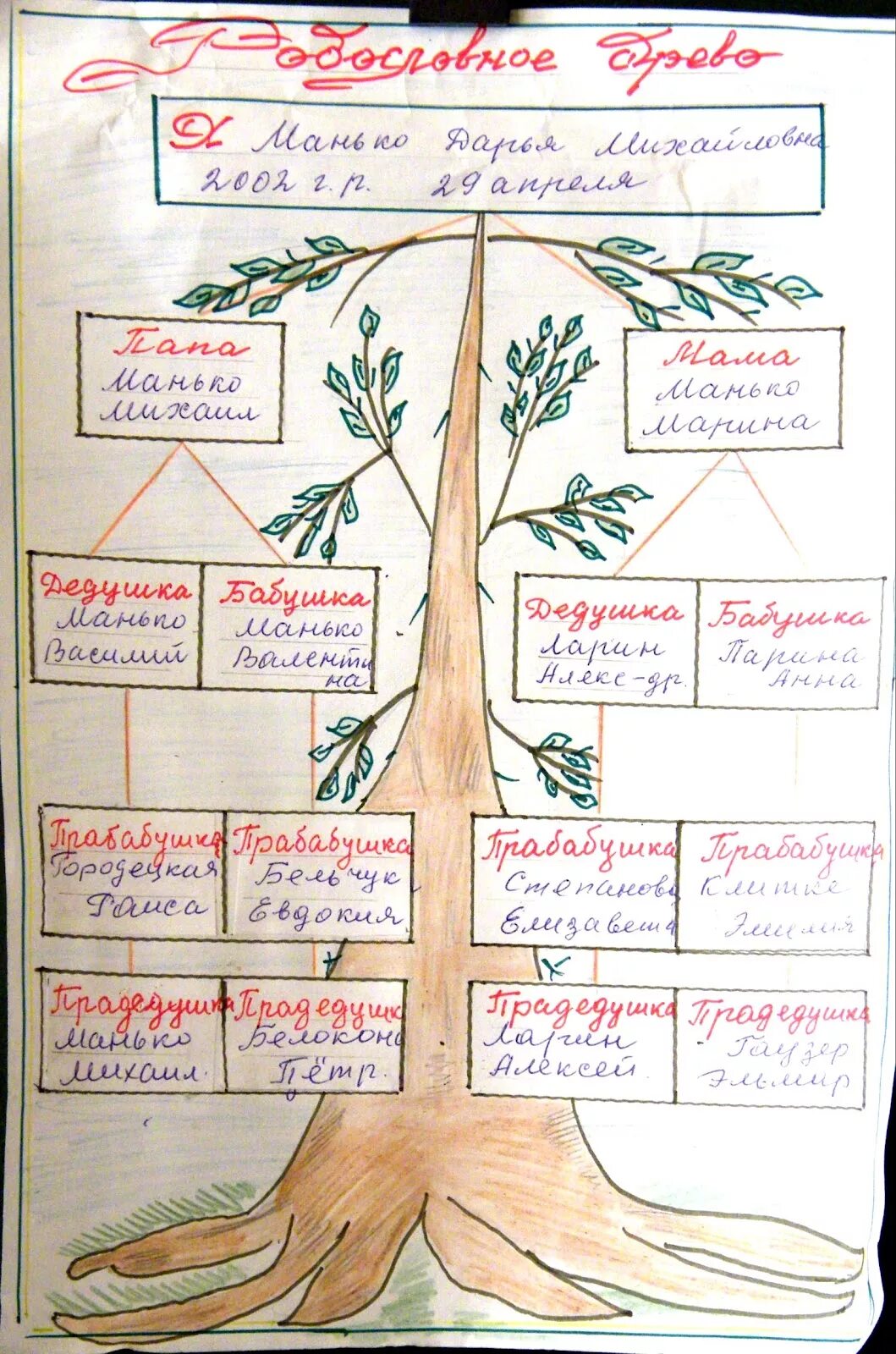 Как изобразить родословную 2 класс. Как составить родословную семьи для школы. генеалогическое древо семьи своими руками для школы 5 класс. древо жизни для 5 класса родословная. родословное дерево рисунок.