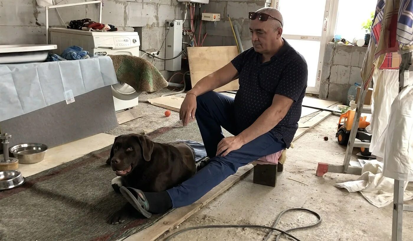 Усыпление и вывоз собак на дому