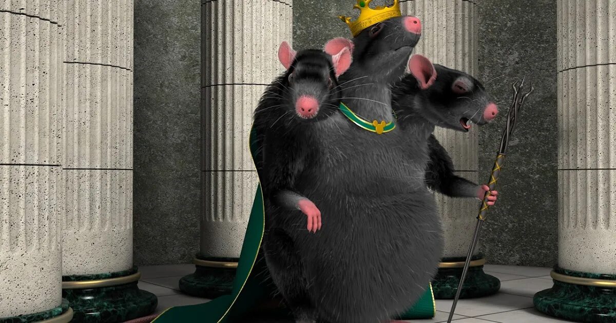 Крысиный король фото живой 2021 года. Королевская крыса. Королева крыс.