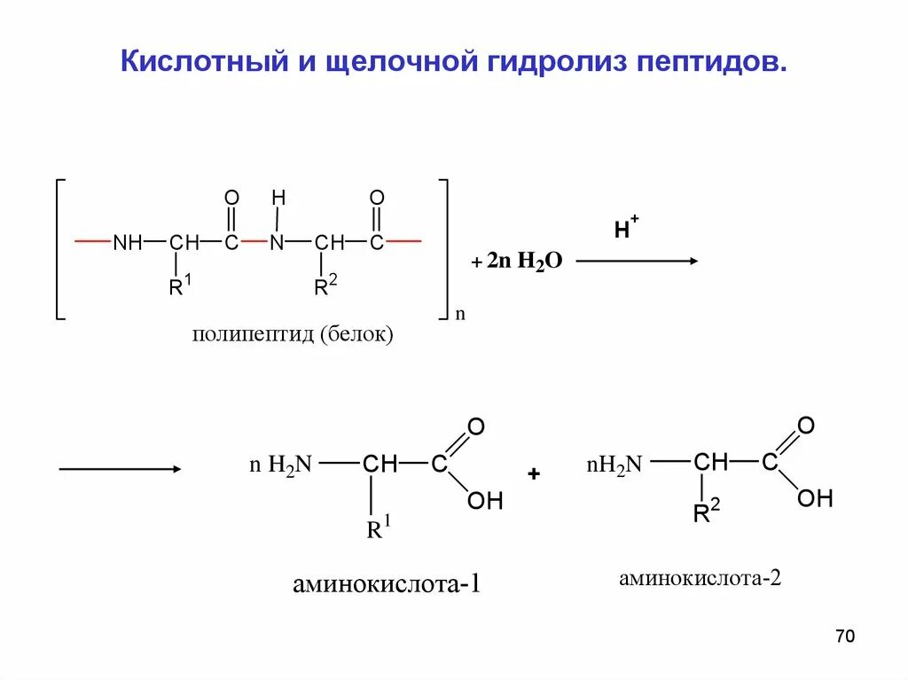 Какие вещества образуются при гидролизе белка. Щелочной гидролиз дипептида реакция. Щелочной гидролиз трипептидов. Кислотный и щелочной гидролиз пептидов. Щелочной и кислотный гидролиз дипептида.