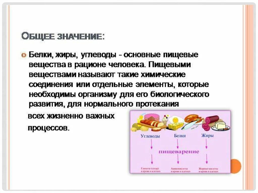 Основные липиды пищи. Значение белков жиров и углеводов в питании человека. Основные пищевые вещества белки жиры углеводы. Основные функции белков жиров и углеводов в организме человека. Питательные вещества белки жиры углеводы схема.