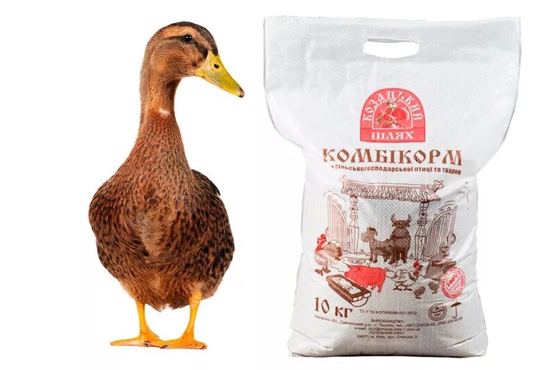 Корм duck. Корм для уток. Комбикорм для уток. Комбикорм для гусей. Комбикорм для уток и гусей.