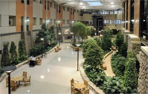 Best hospital