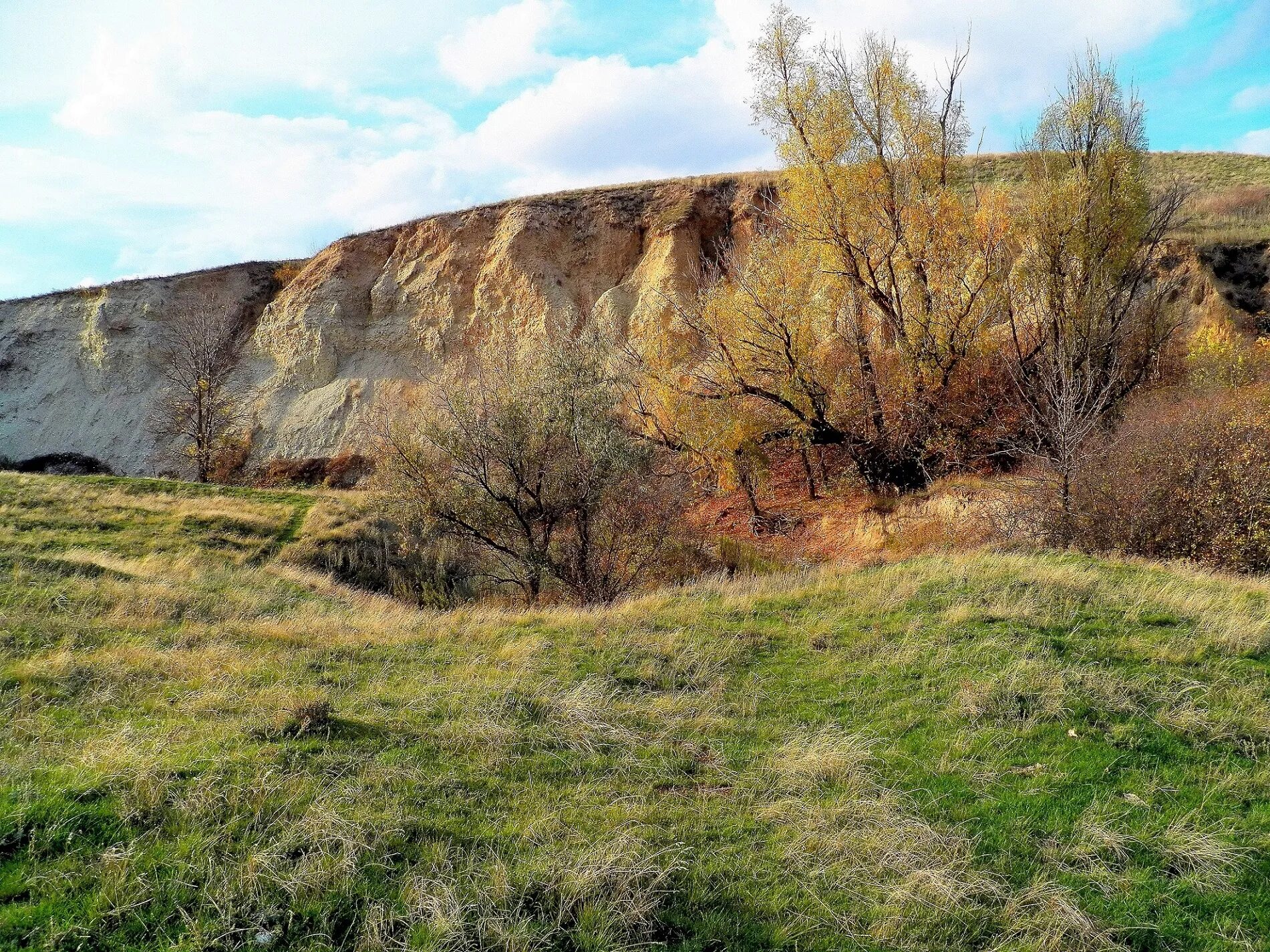 Лев балка. Балка каменный лог белгородская область. хлебная балка сальского района. балка хлебная сальский район ростовская. урочище каменная балка.