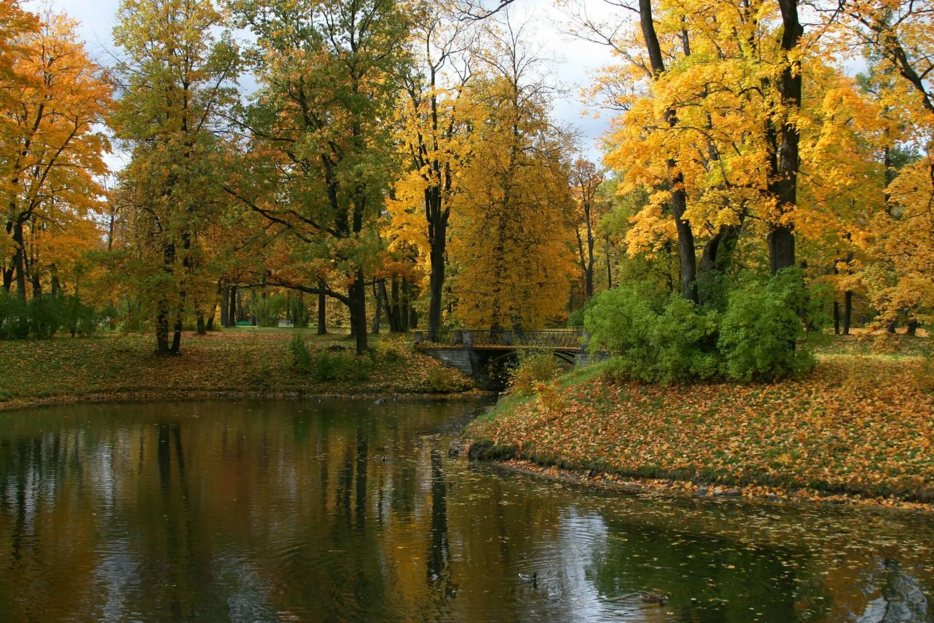 Тема осени пушкина. Александровский парк Царское село. Александровский парк Царское село осень. Александровский парк Пушкин осень. Александровский парк Пушкин Санкт Петербург осень.