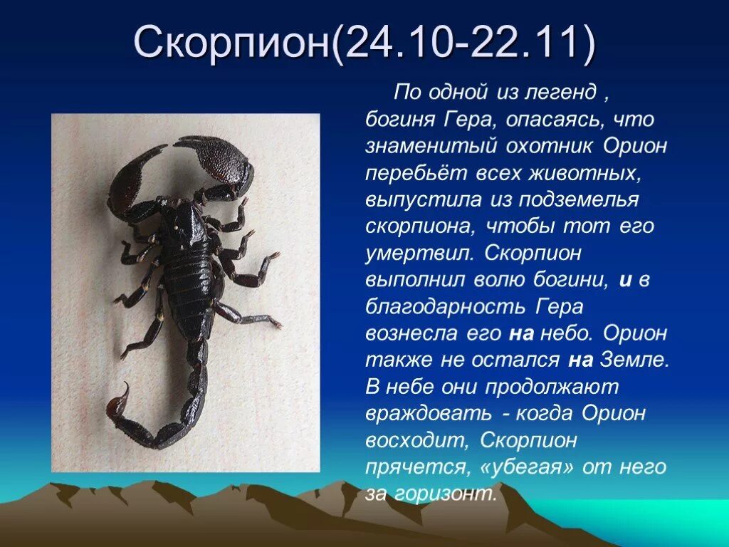 Гороскоп работа скорпион апрель скорпион. Скорпион. Скорпион характеристика. Знак зодиака Скорпион. Скорпион краткая характеристика.