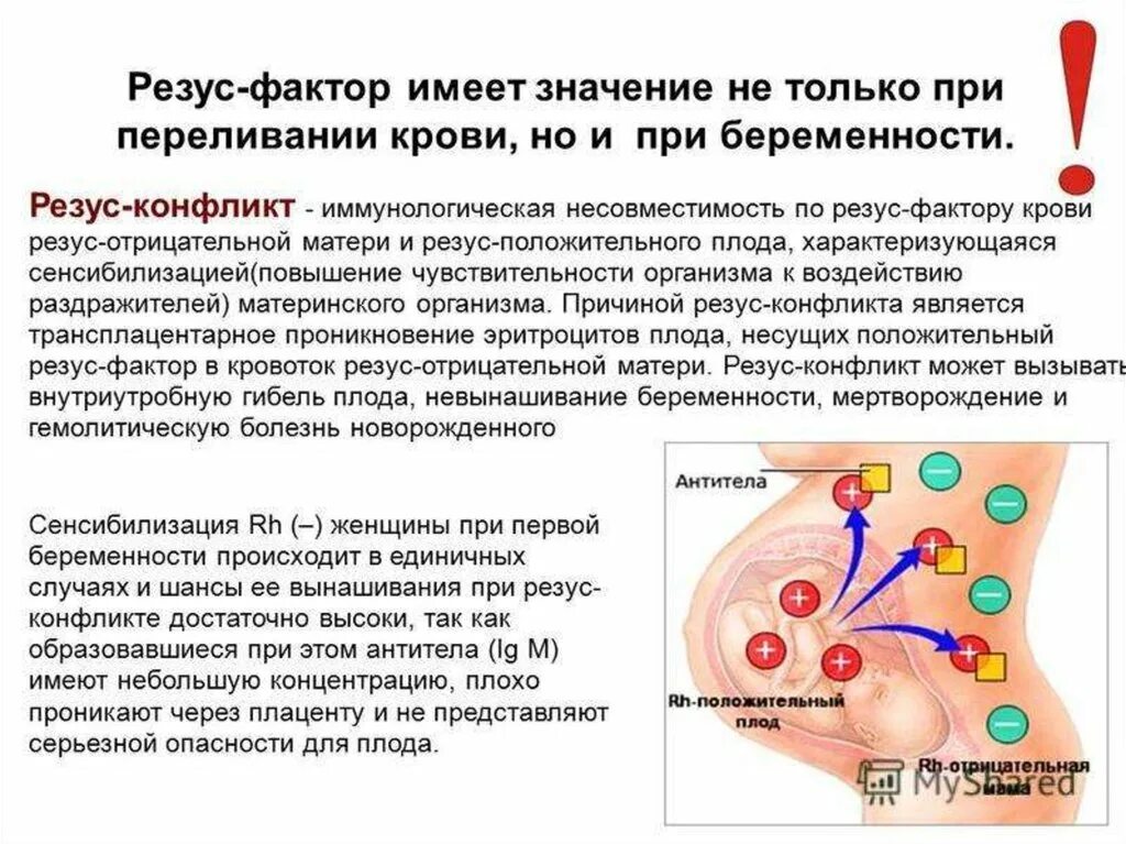 Резус rh положительный. При несовместимости крови матери и плода по резус-фактору. Резус конфликт при переливании крови. Конфликт резус факторов. Иммунологическая несовместимость крови матери и плода.