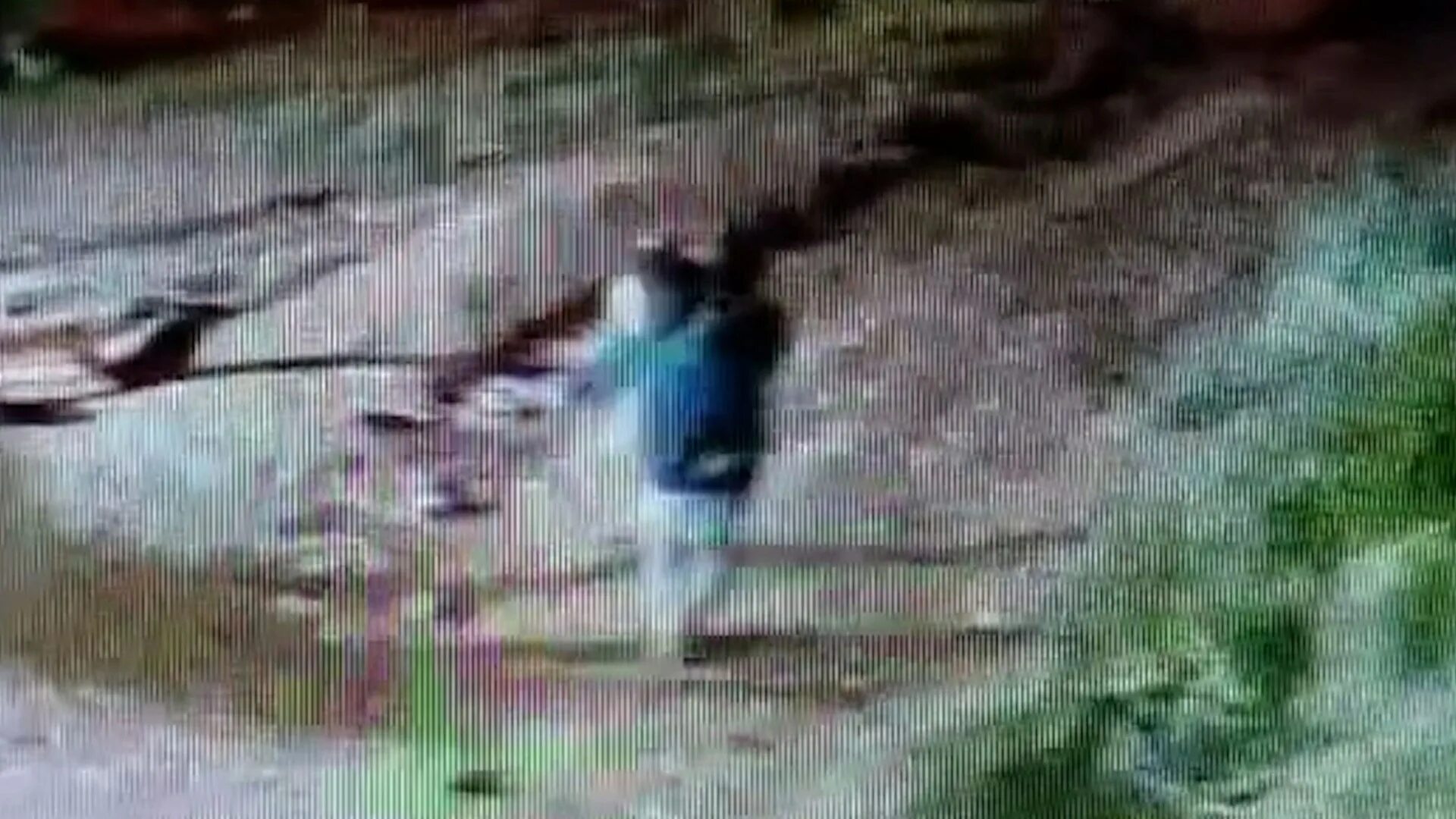 Убийство девочки в большом козино. Общага в костроме в которой убили веронику николаеву. Убийство девочки в казани. Пьяный сосед убил девочку в чите. Родители убитый девочки.