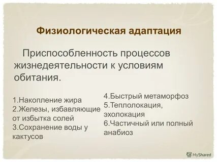 Физиологическая адаптация к школе