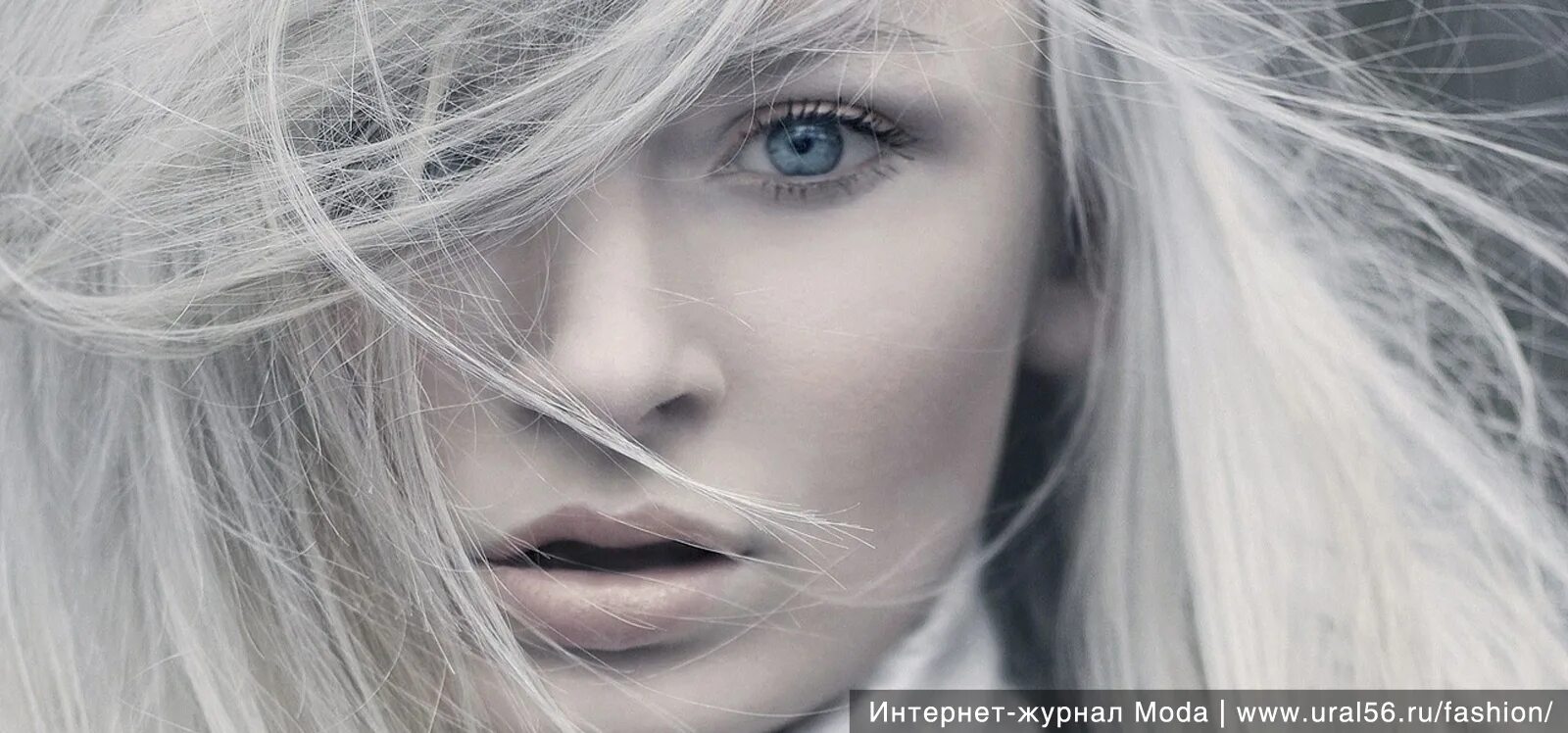 Как будет серые девушки. Как будет серые девушки