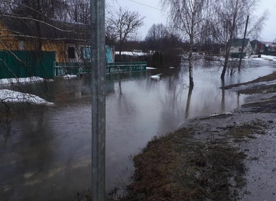 Прогноз половодья в рязани в 2025 года. Паводок. наводнение. ливневый паводок. наводнение в рязани.
