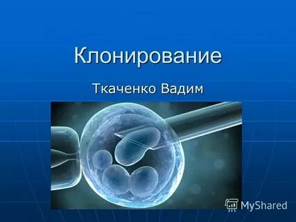 Виды клонирования
