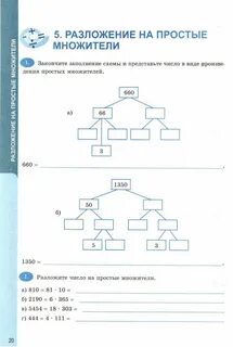 Правило и заполни схемы