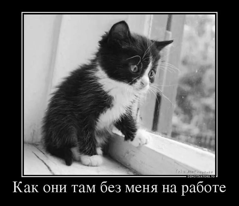 Ну как же без него