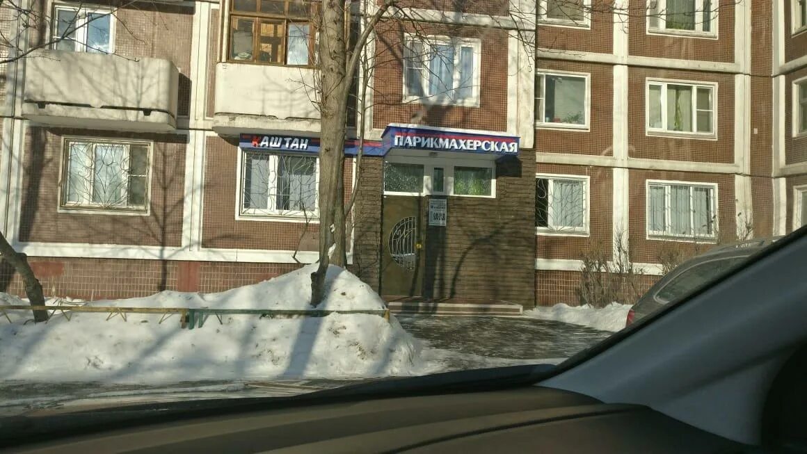 Каштаны в севастополе. Салон каштан новокосино сотрудники. Каштан новокосино. Цветение каштана ставрополь. Салон красоты новокосино.