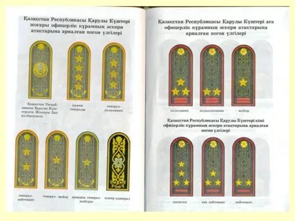 Клаудио шифер порно видео