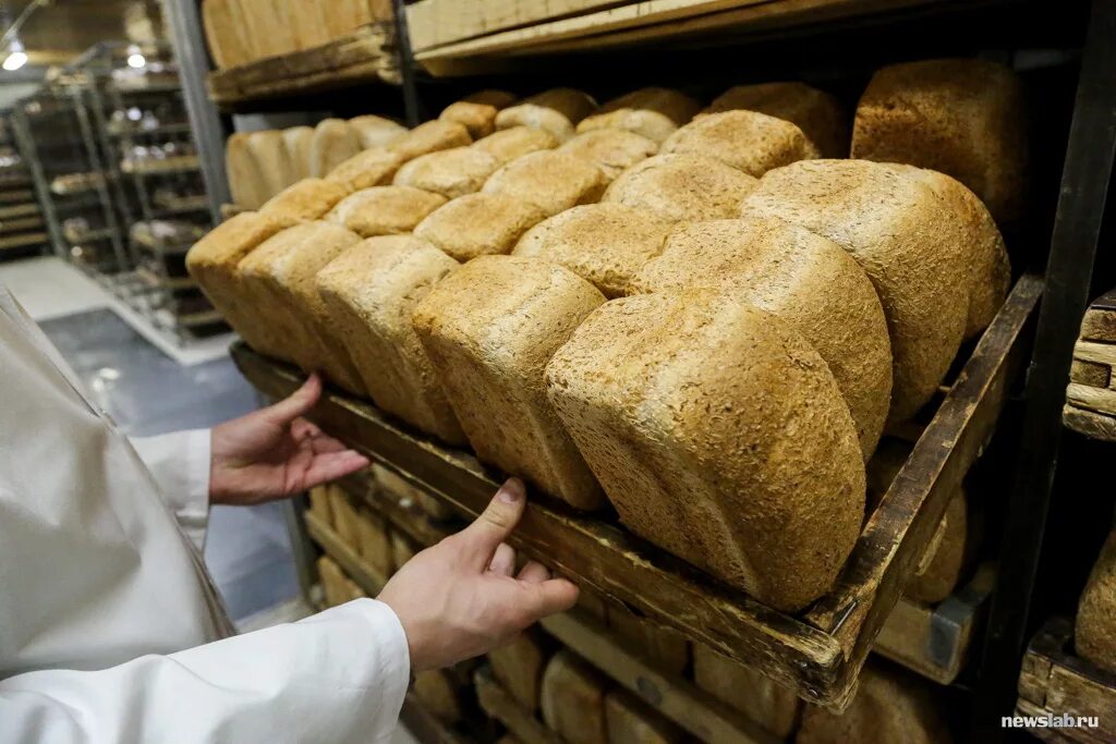 Хлеб пекарня. Выпечка пекарня. Хлеб в печи. Bread factory. Хлебопекарня.