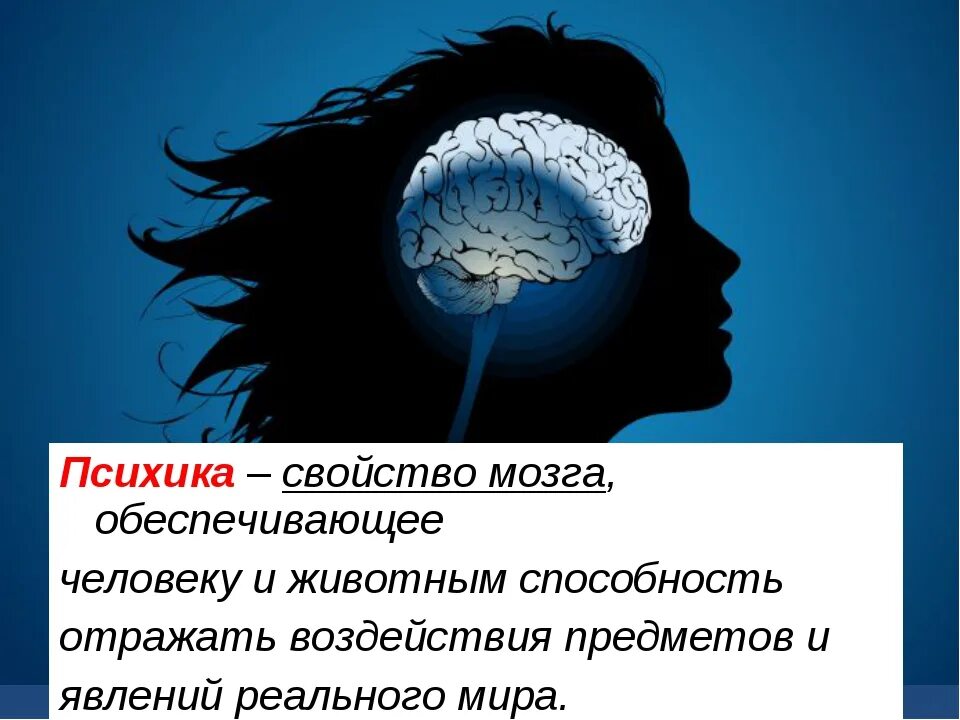 Психика и поведение человека 8 класс. Психика и мозг человека. Психика человека презентация. Мозг и психика в психологии. Психическая деятельность мозга.