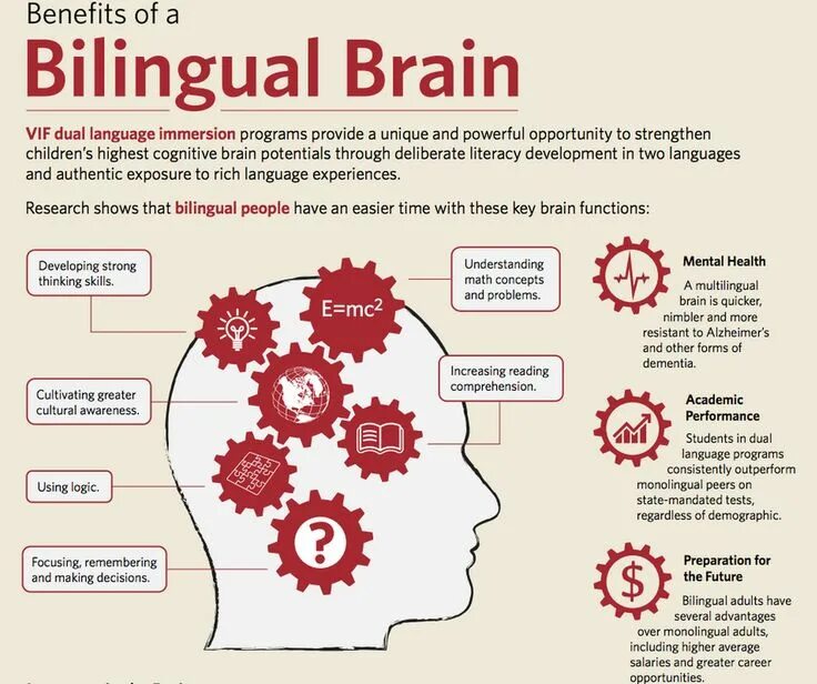Language and the brain. The bilingual brain. language immersion. benefits of learning a foreign language. brain and language.