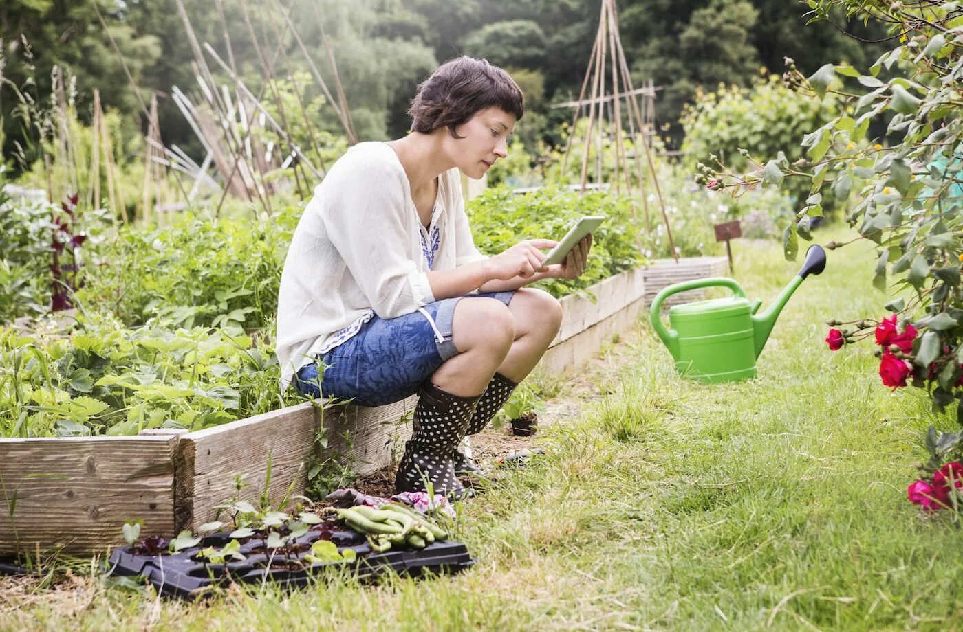 Gardening world. Gardening world. Садовник в саду. Английский садовник монти дон. Gardening world.