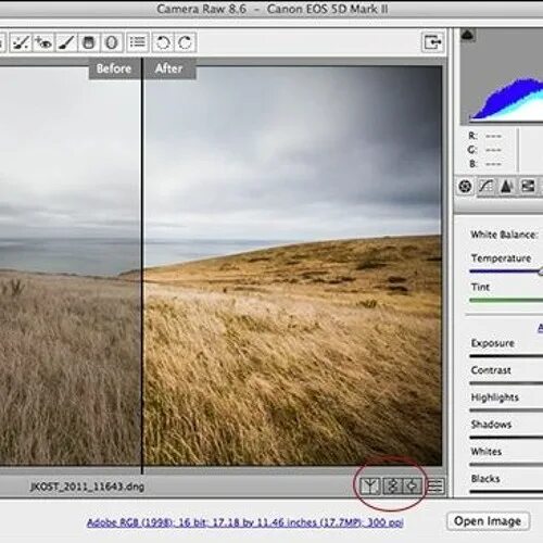 Как пользоваться raw. Интерфейс камера рав. camera raw 12.3. camera raw в фотошопе. camera raw настройки интерфейса.